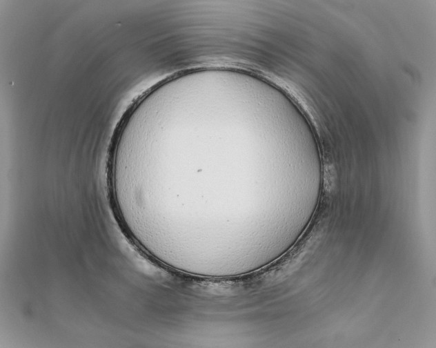 X0000111430995200908031327