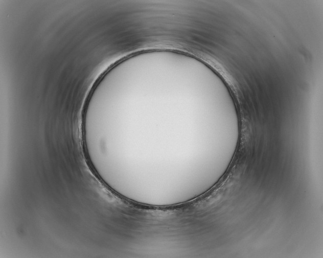 X0000111430996200908031327