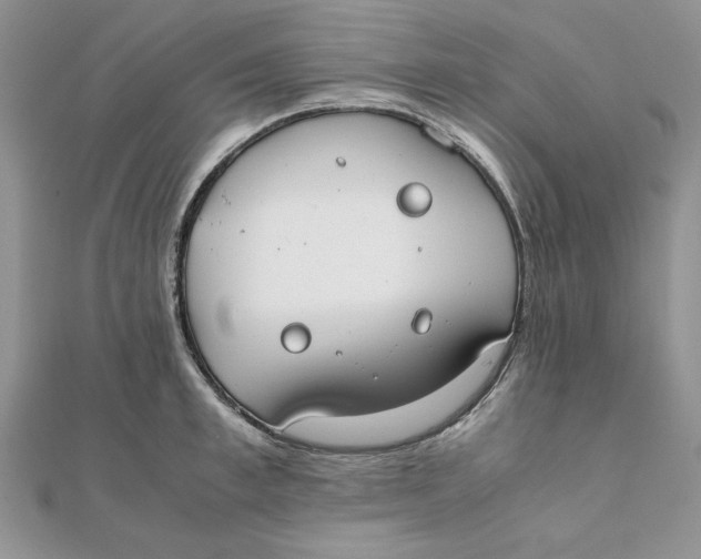 X0000111430997200908031327