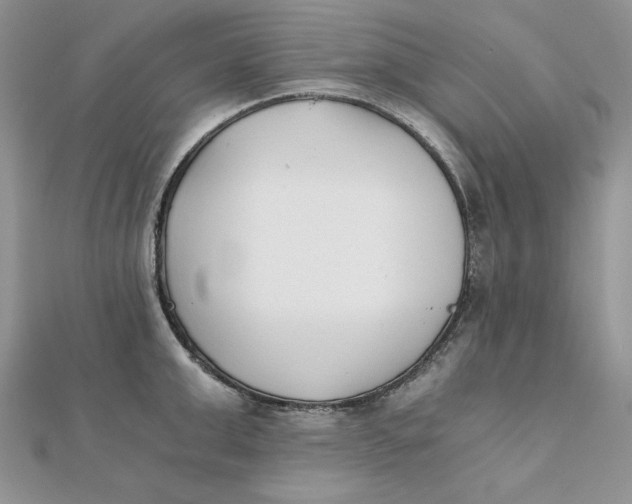 X0000111430999200908031327