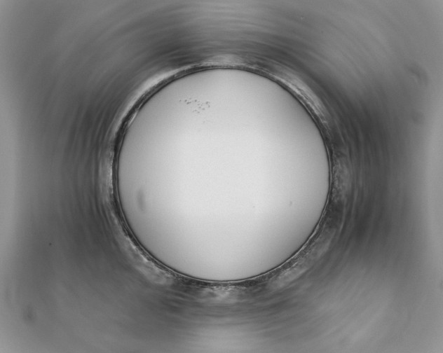 X0000111431000200908031327