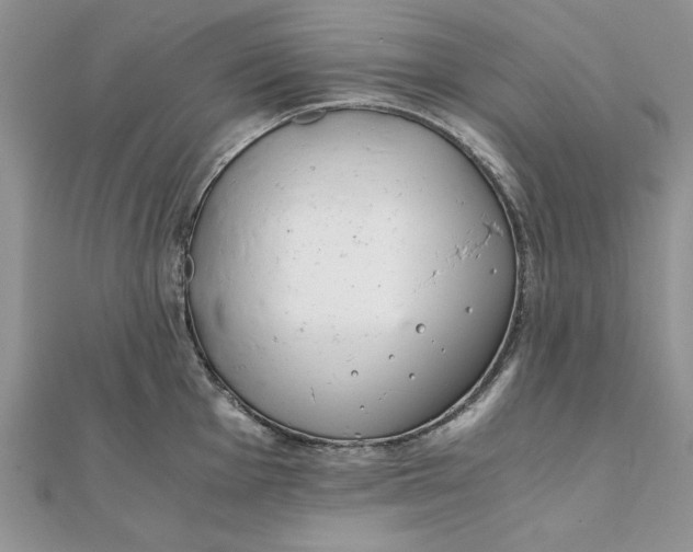 X0000111431001200908031327