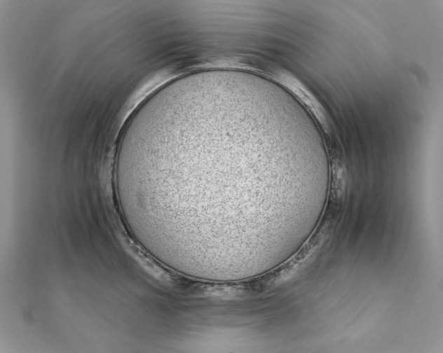 X0000111431002200908031327