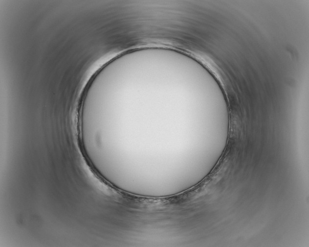 X0000111431003200908031327