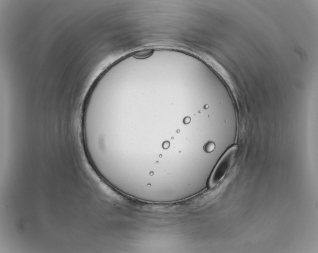 X0000111431005200908031327