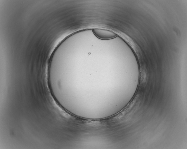 X0000111431006200908031327