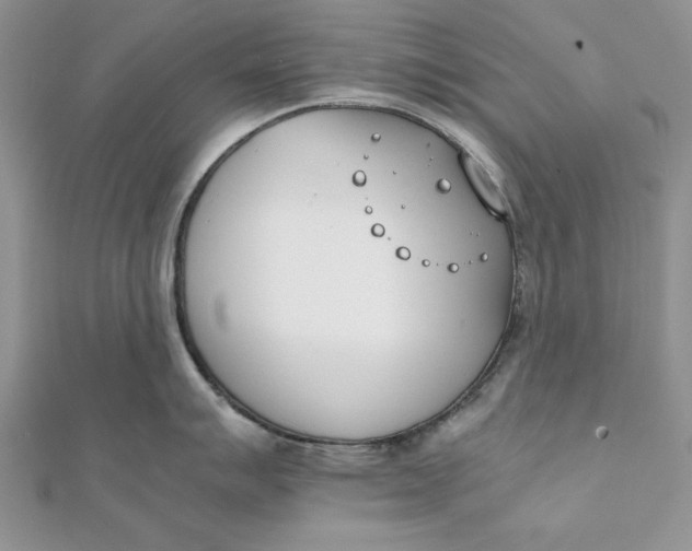 X0000111431007200908031327