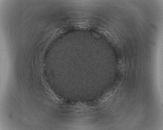 X0000111431009200908031326