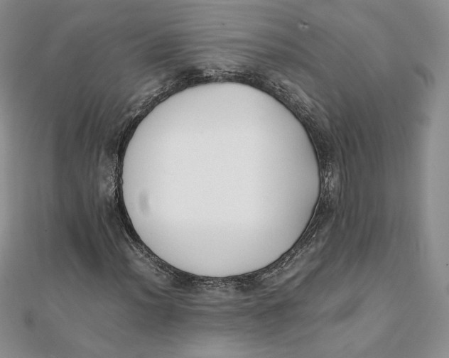 X0000111431012200908031326