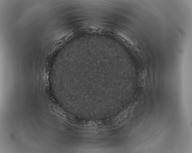 X0000111431013200908031326