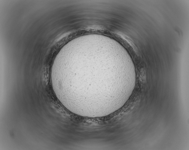 X0000111431015200908031326