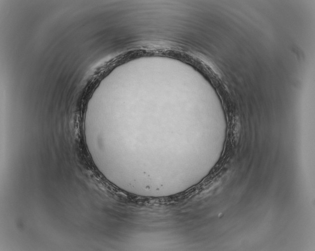 X0000111431016200908031326