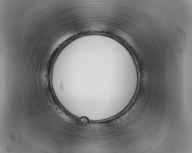 X0000111431018200908031326