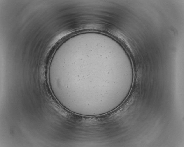 X0000111431019200908031326