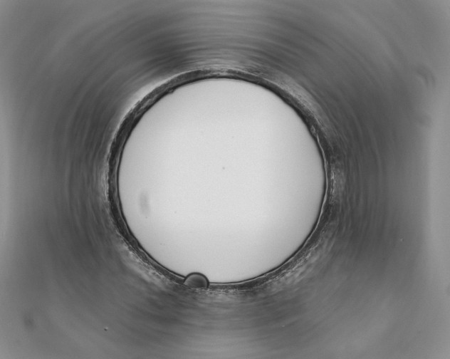 X0000111431020200908031327