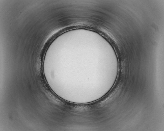 X0000111431021200908031327