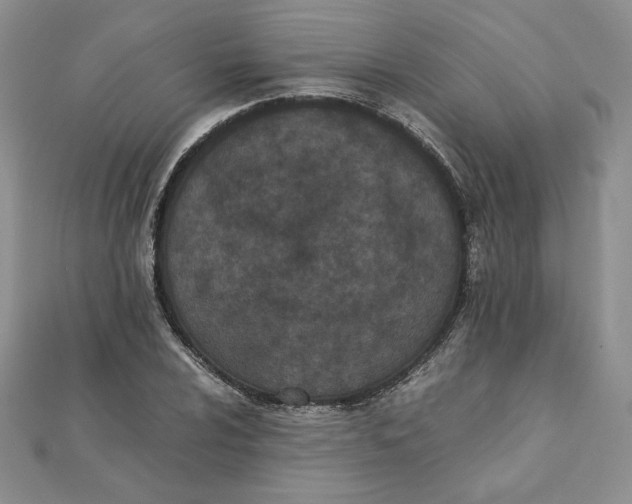 X0000111431024200908031327