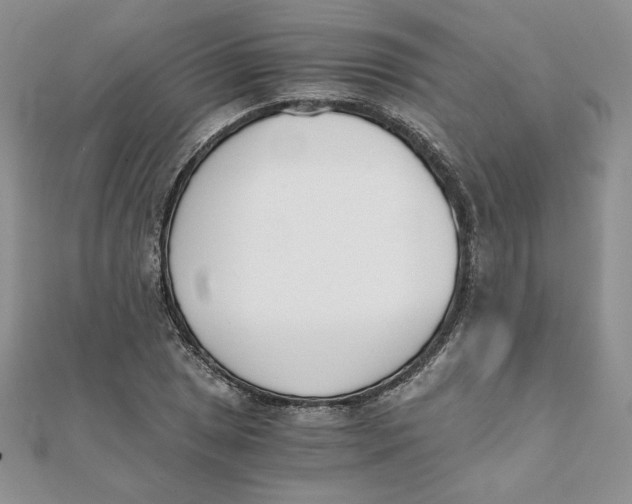 X0000111431025200908031327