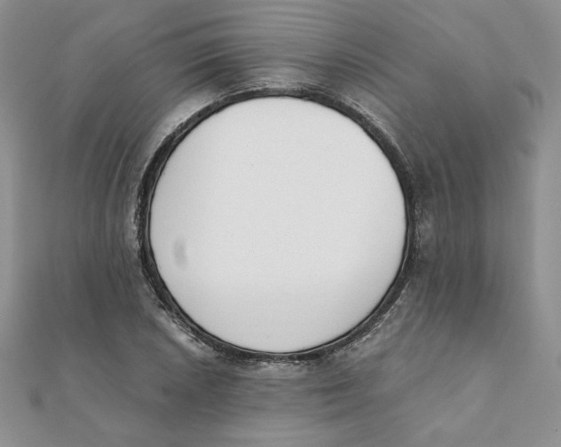 X0000111431026200908031327