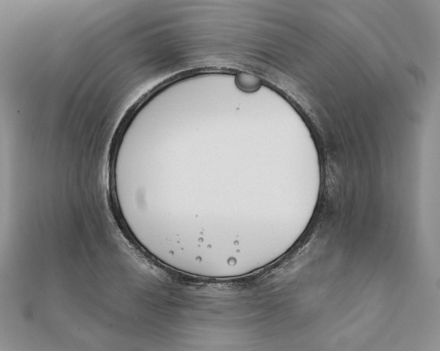 X0000111431028200908031327