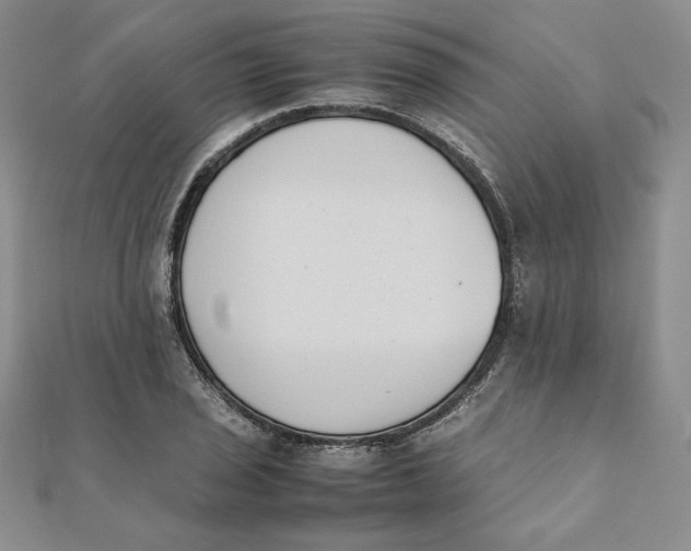 X0000111431029200908031327