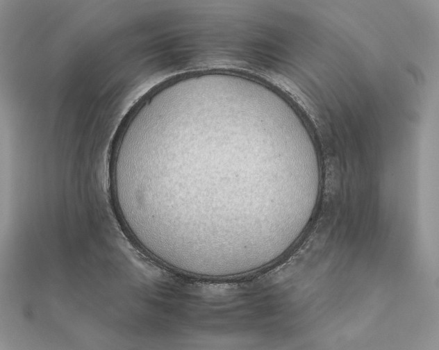 X0000111431031200908031327