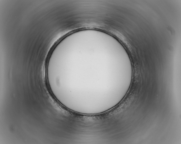 X0000111431032200908031327