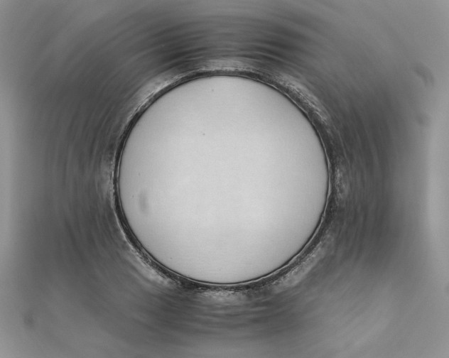 X0000111431033200908031327