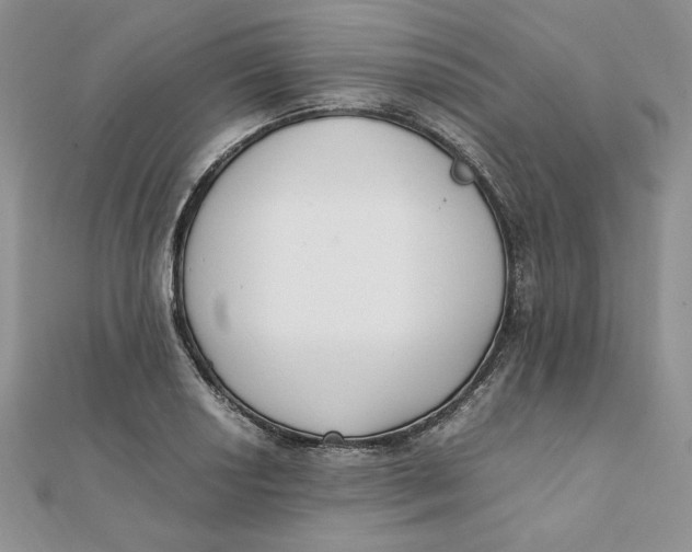 X0000111431034200908031327