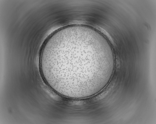 X0000111431035200908031327