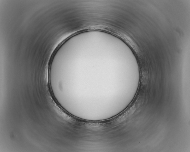 X0000111431036200908031327