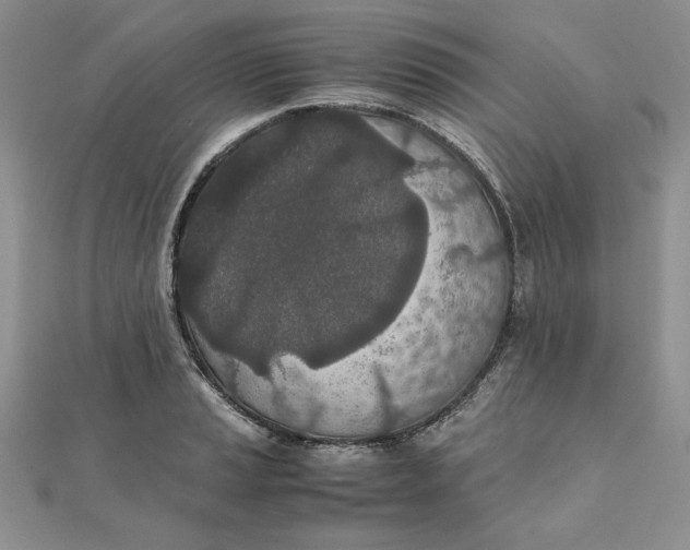 X0000111431037200908031327