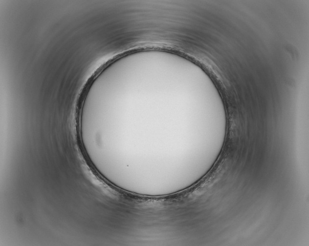 X0000111431038200908031327