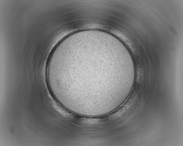 X0000111431039200908031327