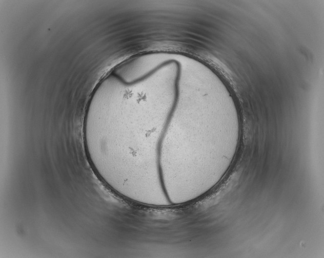 X0000111431041200908031327