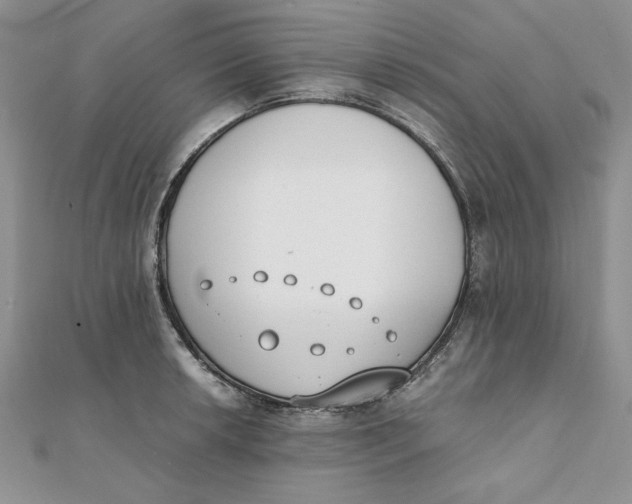 X0000111431042200908031327