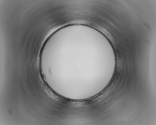 X0000111431044200908031327