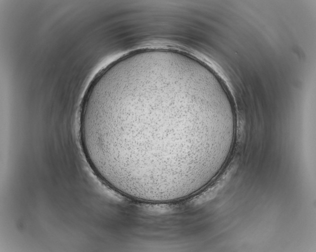 X0000111431045200908031327