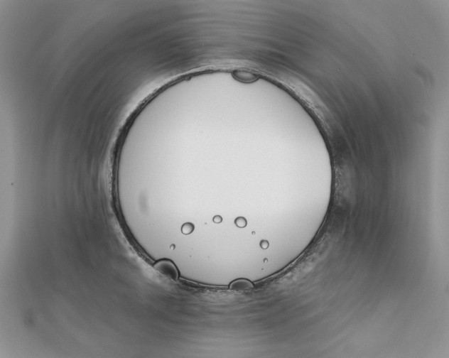 X0000111431046200908031327