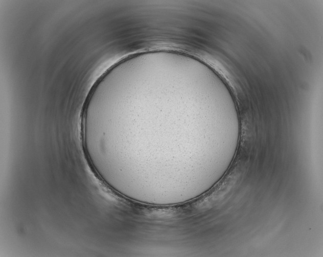 X0000111431047200908031327