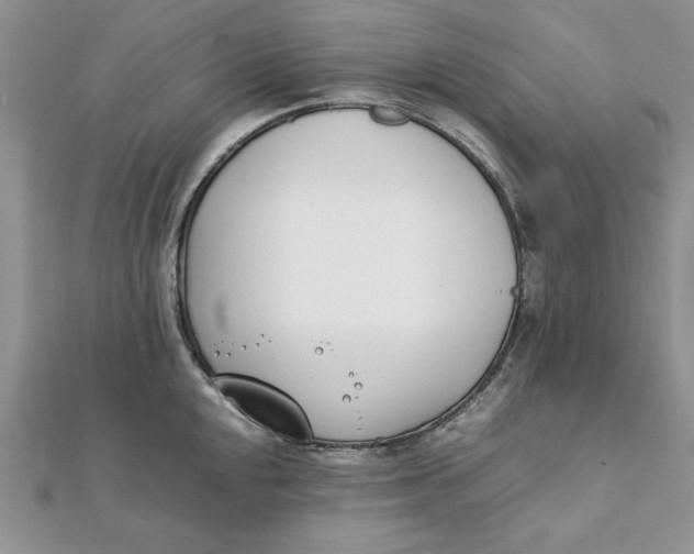 X0000111431048200908031327