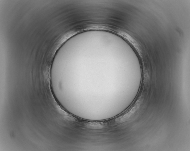 X0000111431049200908031327