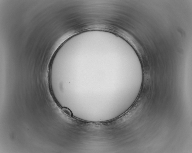 X0000111431050200908031327