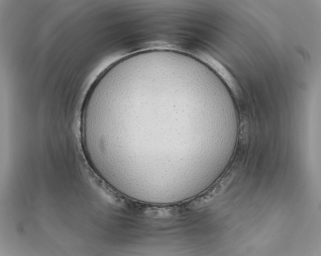 X0000111431051200908031327