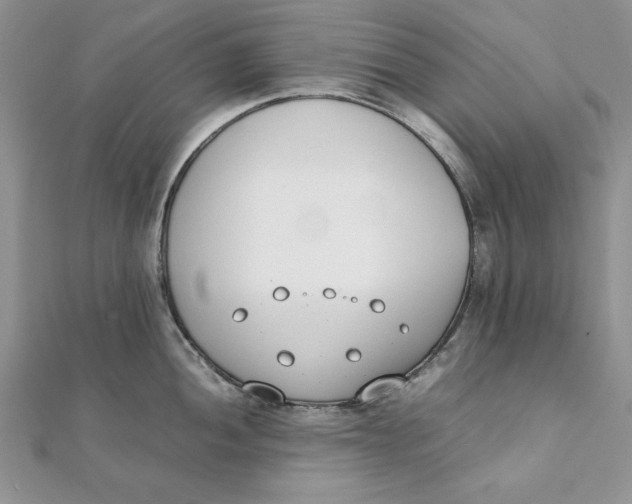 X0000111431052200908031327