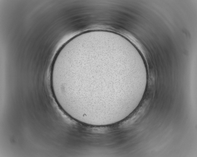 X0000111431053200908031327