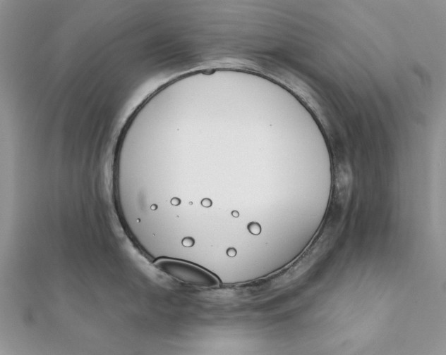 X0000111431054200908031327