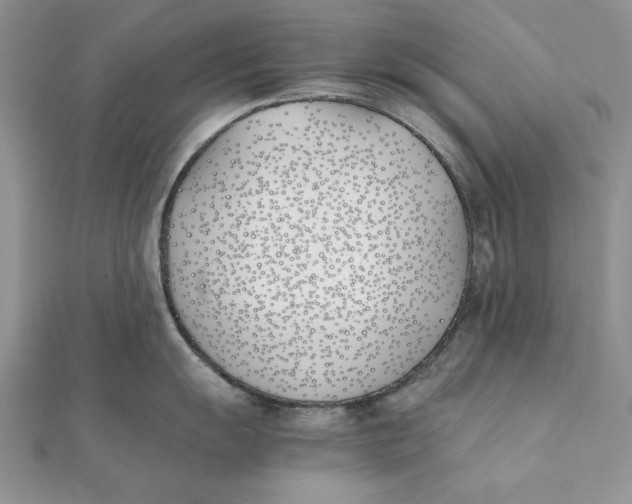 X0000111431055200908031327