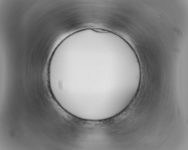 X0000111431056200908031327