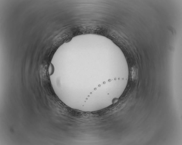 X0000111431059200908031326